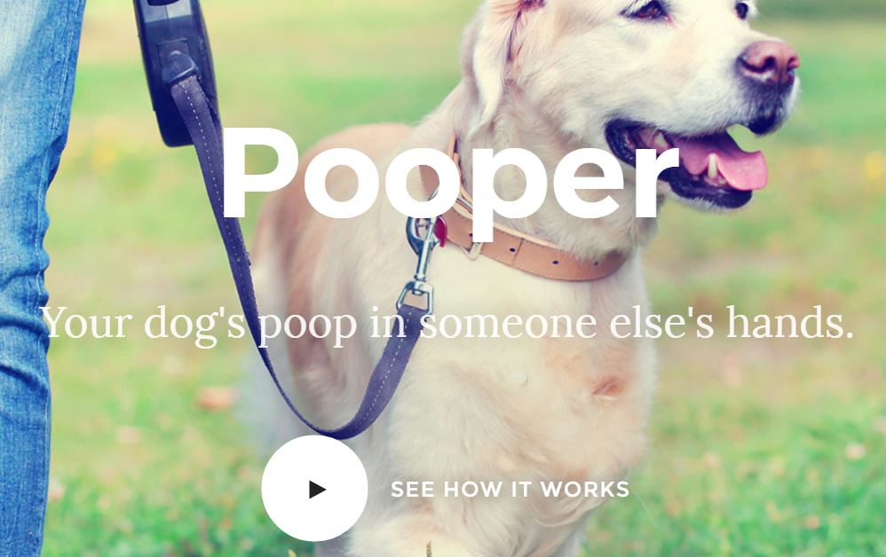 Pooper Homepage First Image