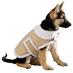 Winter coats will help keep your dog warm when temperatures drop