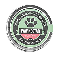 Protect a dog's paws by using dog paw balms