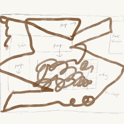 Diagram of the Roomba's dog poop extravaganza