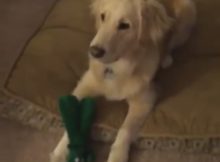 Jolene with Gumby Toy