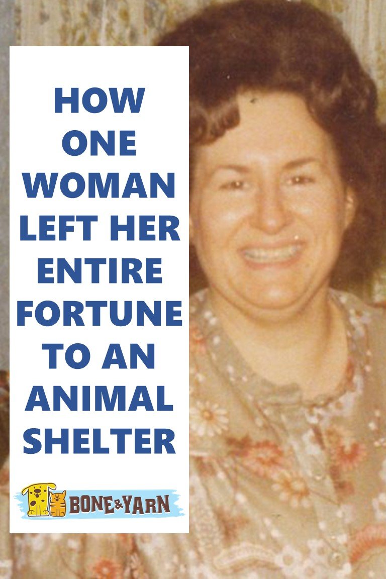 How one woman left her fortune to an animal shelter