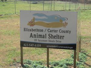 Elizabethton Animal Shelter received a fortune to help with their adoptions