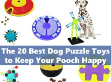 The 20 Best Dog Puzzle Toys