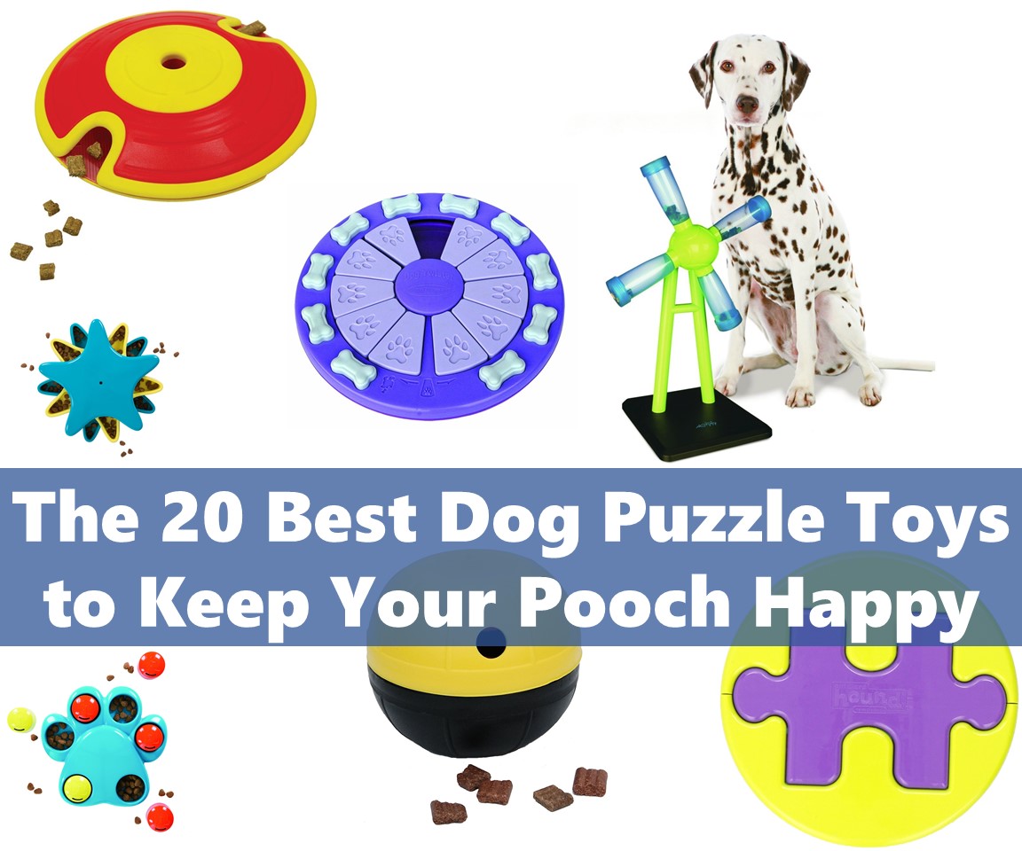The 20 Best Dog Puzzle Toys to Keep Your Pooch Happy and Healthy