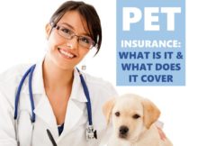 Pet Insurance: What is it and what does it cover?