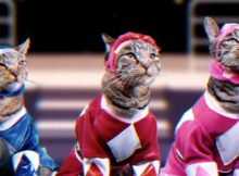 Meower Rangers
