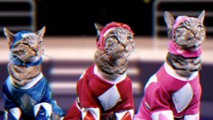 Three of the Meower Rangers