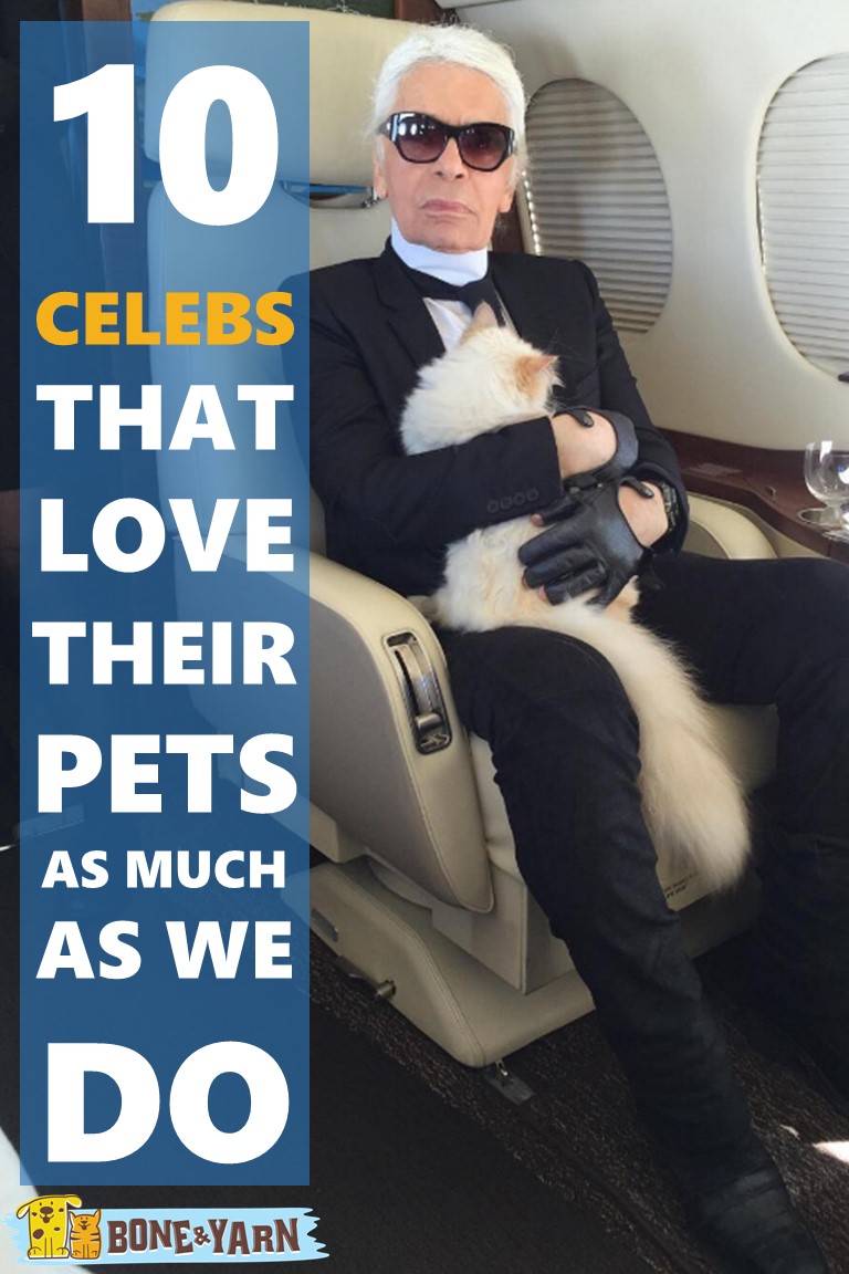 10 Celebs That Love Their Pets as Much as We Do