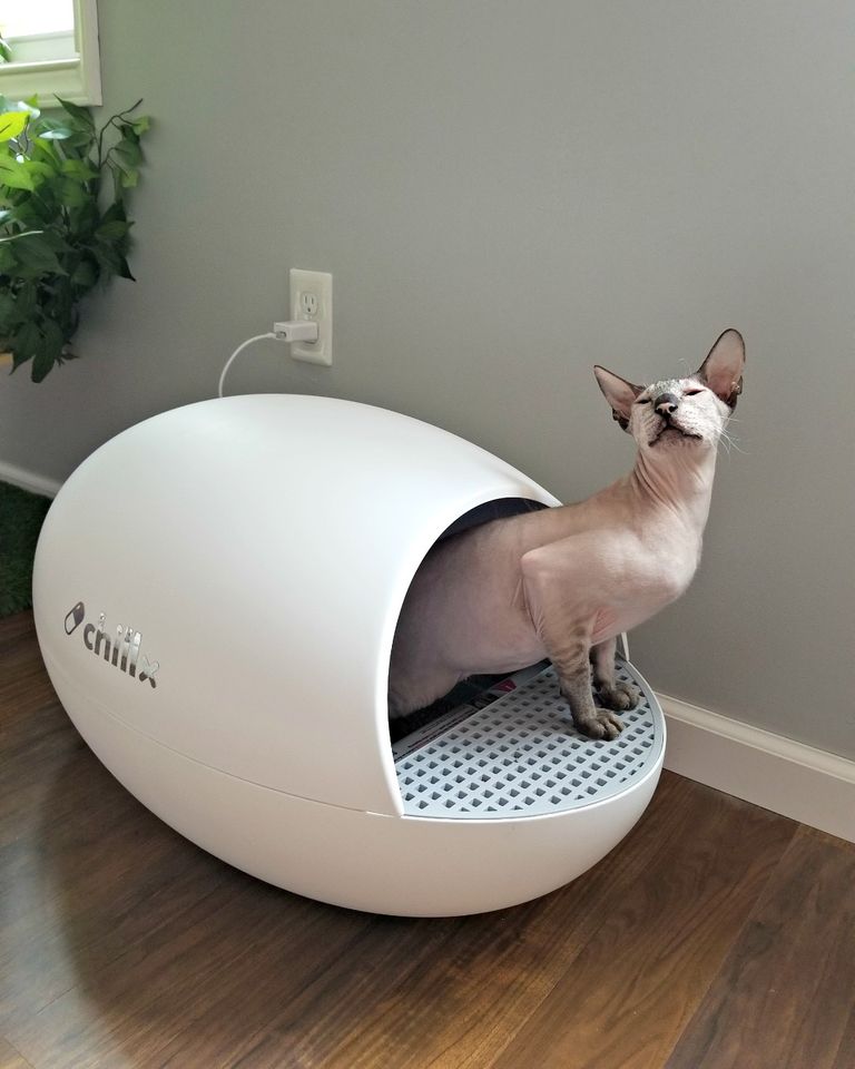 ChillX Auto Egg Automatic Litter Box