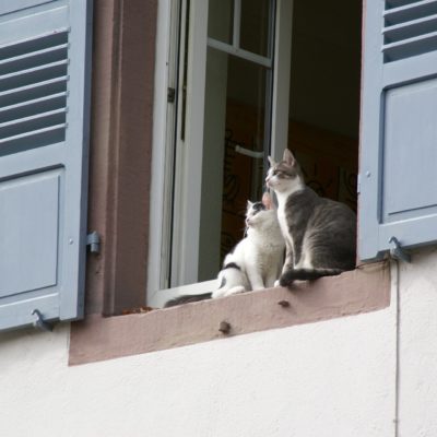 Opening the windows can help freshen things up