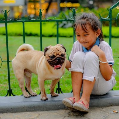 Pugs adore children