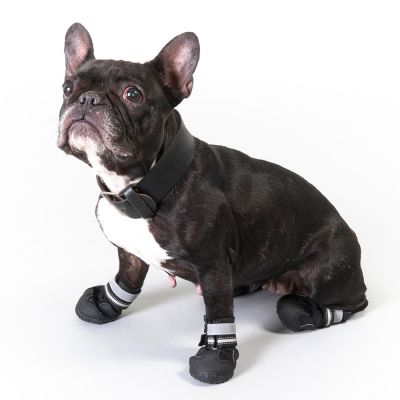 Measure your dog's feet carefully before any purchase