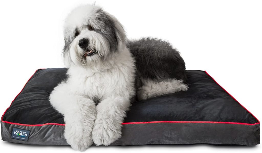 Better World Pets Orthopedic Dog Bed for Large Dogs