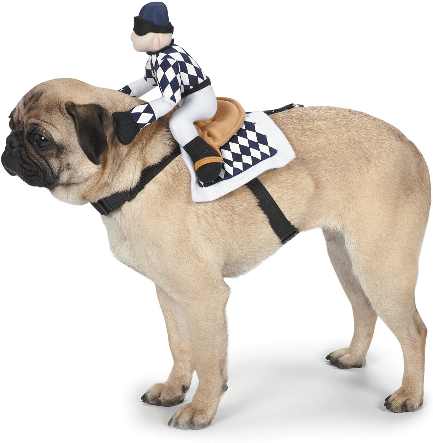 Jockey Racer Dog Halloween Costume