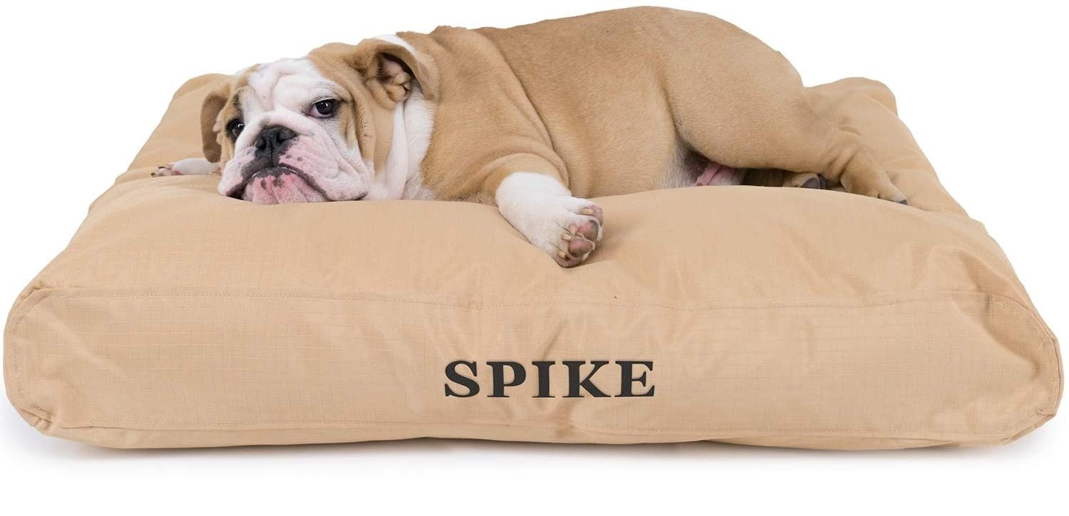Best Dog Beds For Chewers That Will Hold Up to Gnawing and Pawing