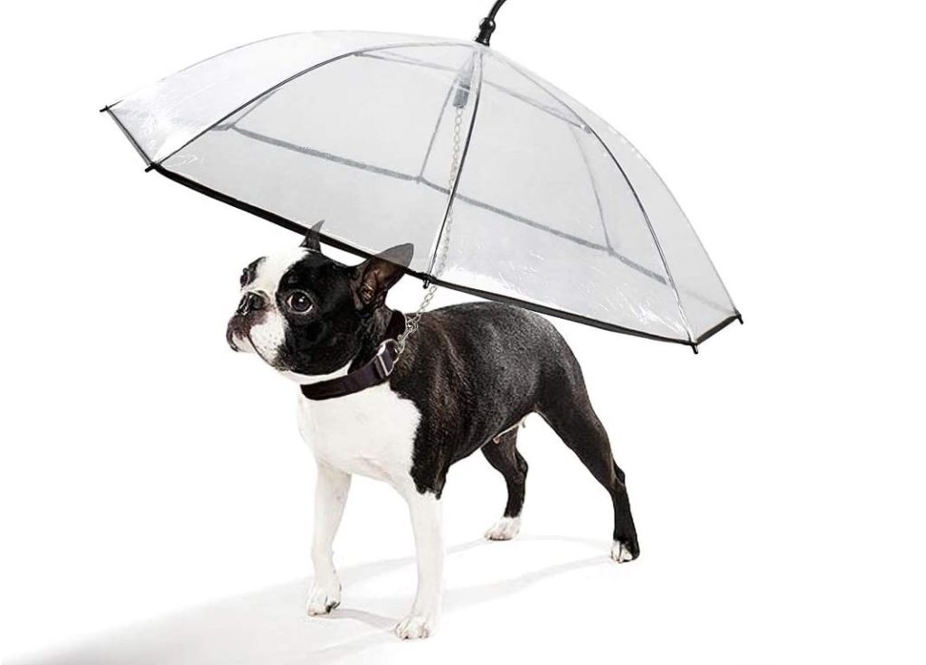 K&L Pet Dog Leash Umbrella