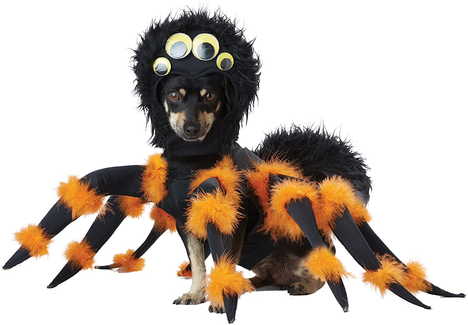 Spider Dog Halloween Costume