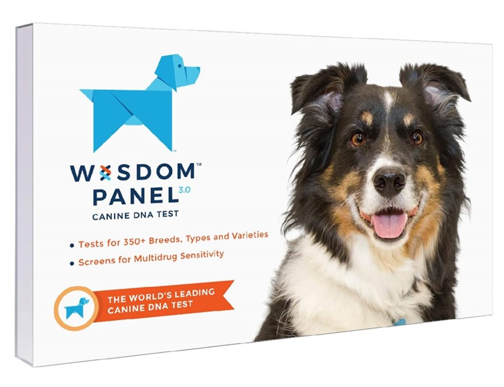 Wisdom Panel Dog DNA Kit