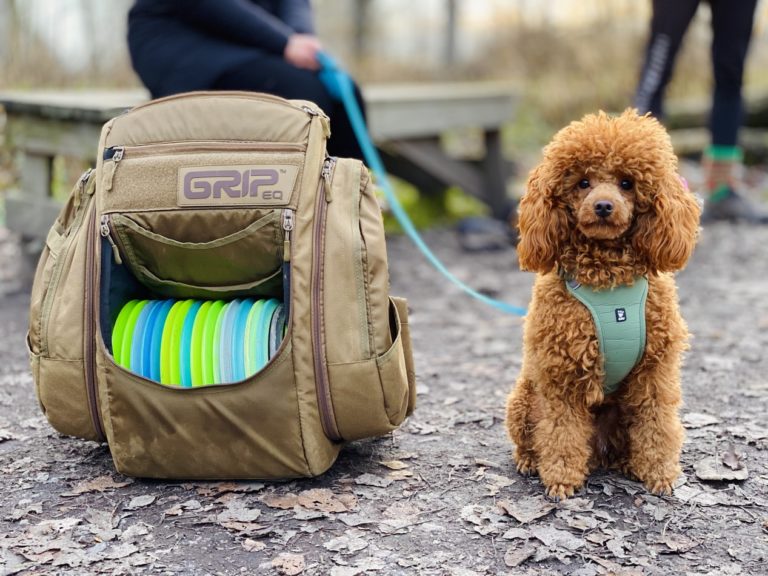 Dog carrier bags help wherever you travel