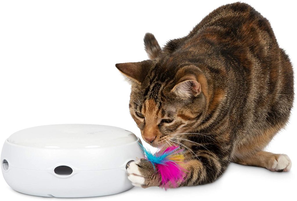 PetFusion Ambush Interactive Cat Toy