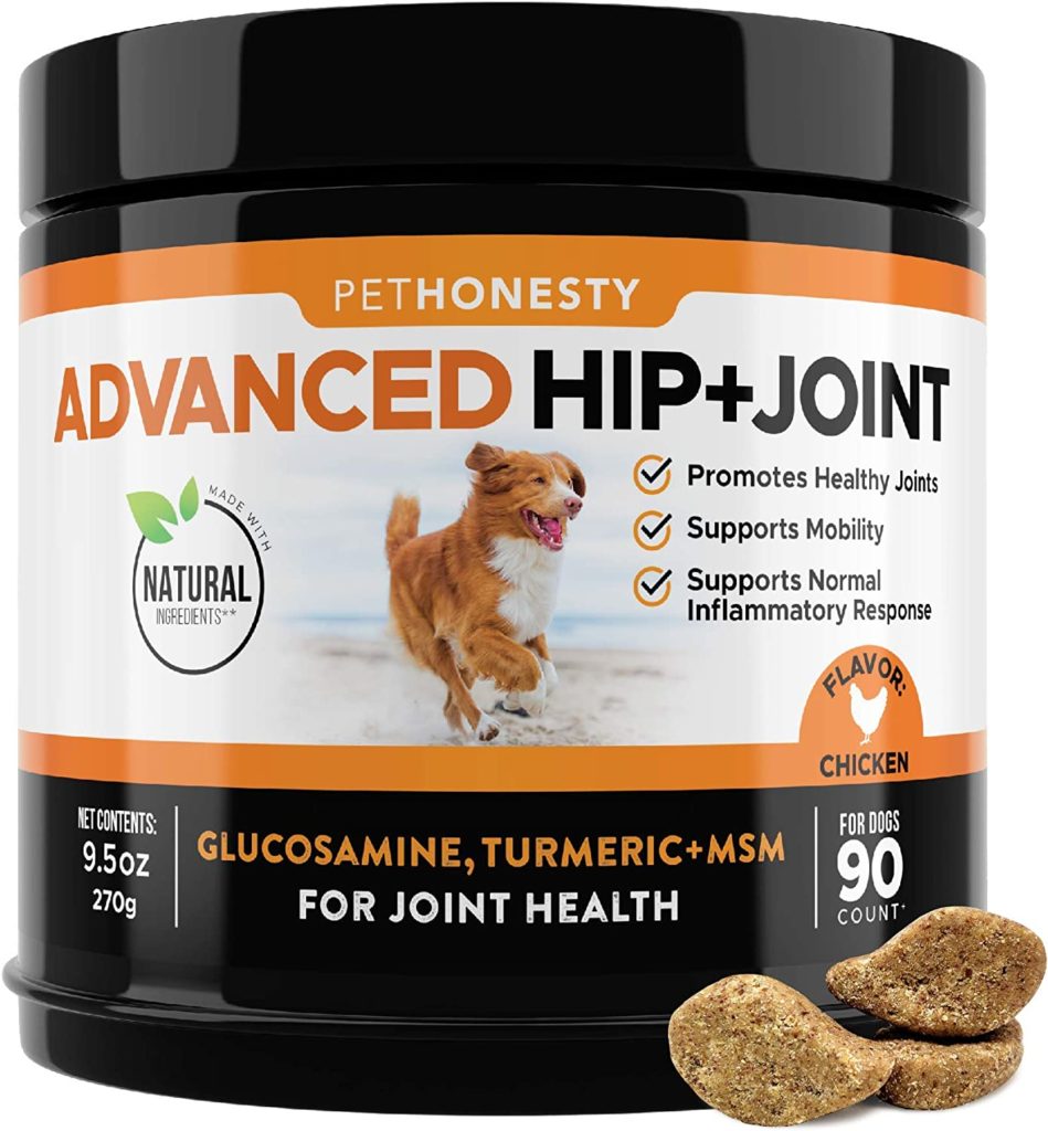 Best Dog Joint Supplements to Keep Your Canine Comfortable