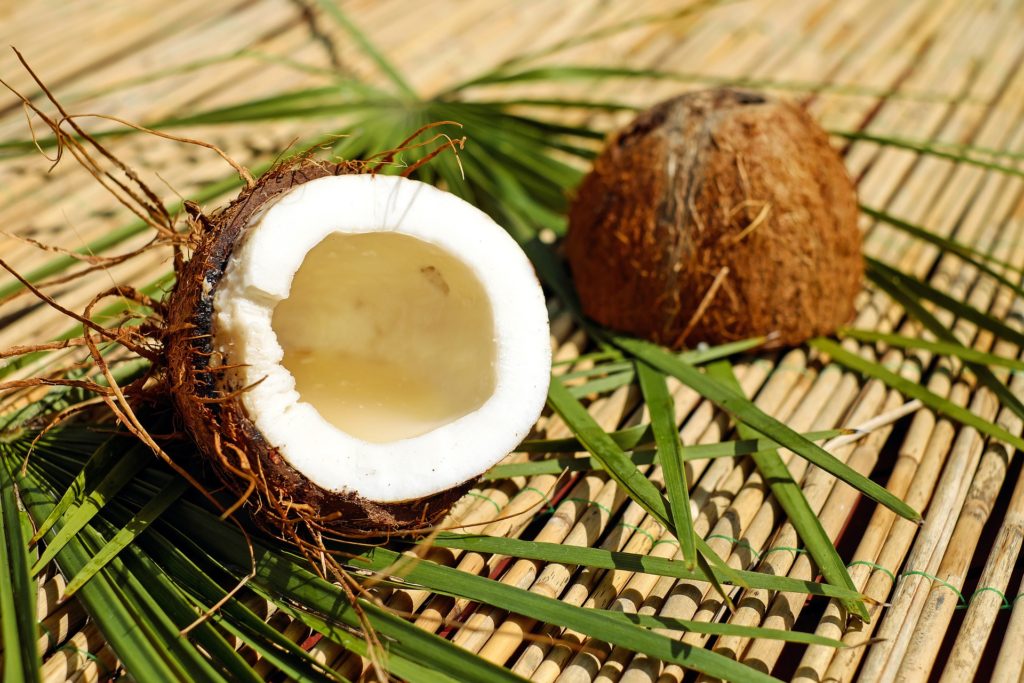 Is coconut oil good for dogs?