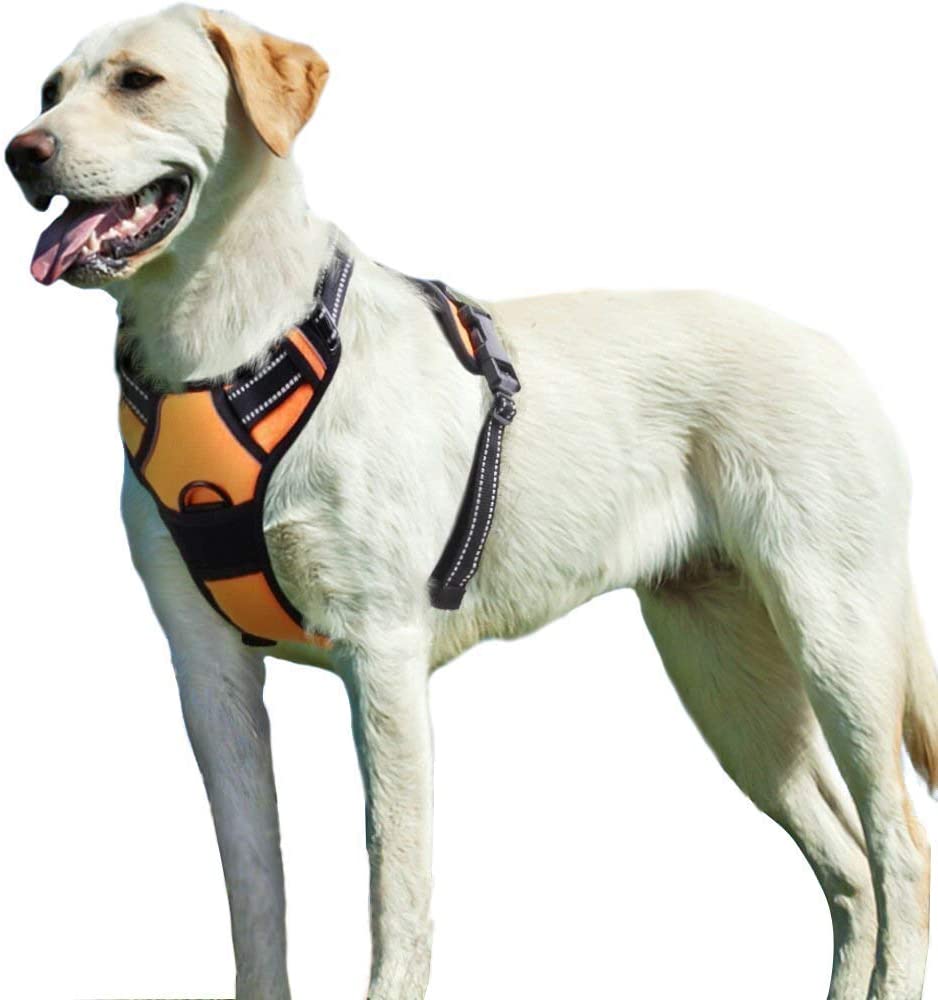 Eagloo Dog Harness