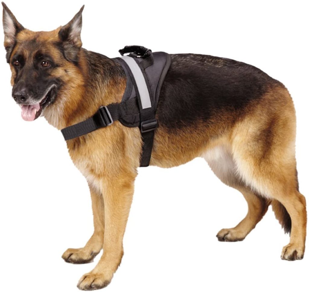 EXPAWLORER Big Dog Harness