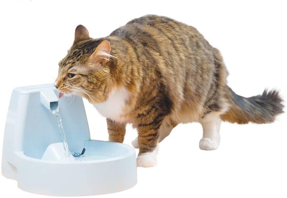 PetSafe Drinkwell Fountain Automatic Water Bowl