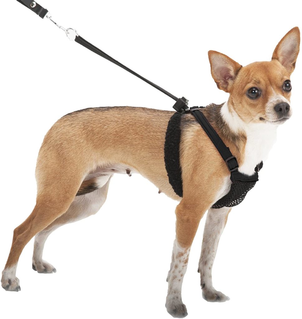 Sporn Dog Harness