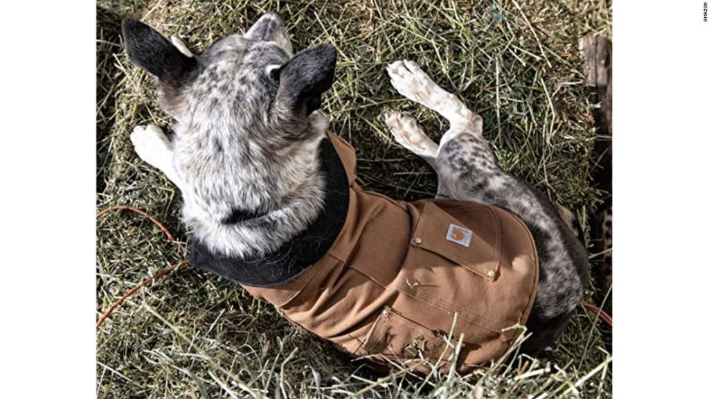 Carhartt Chore Coat Dog Vest