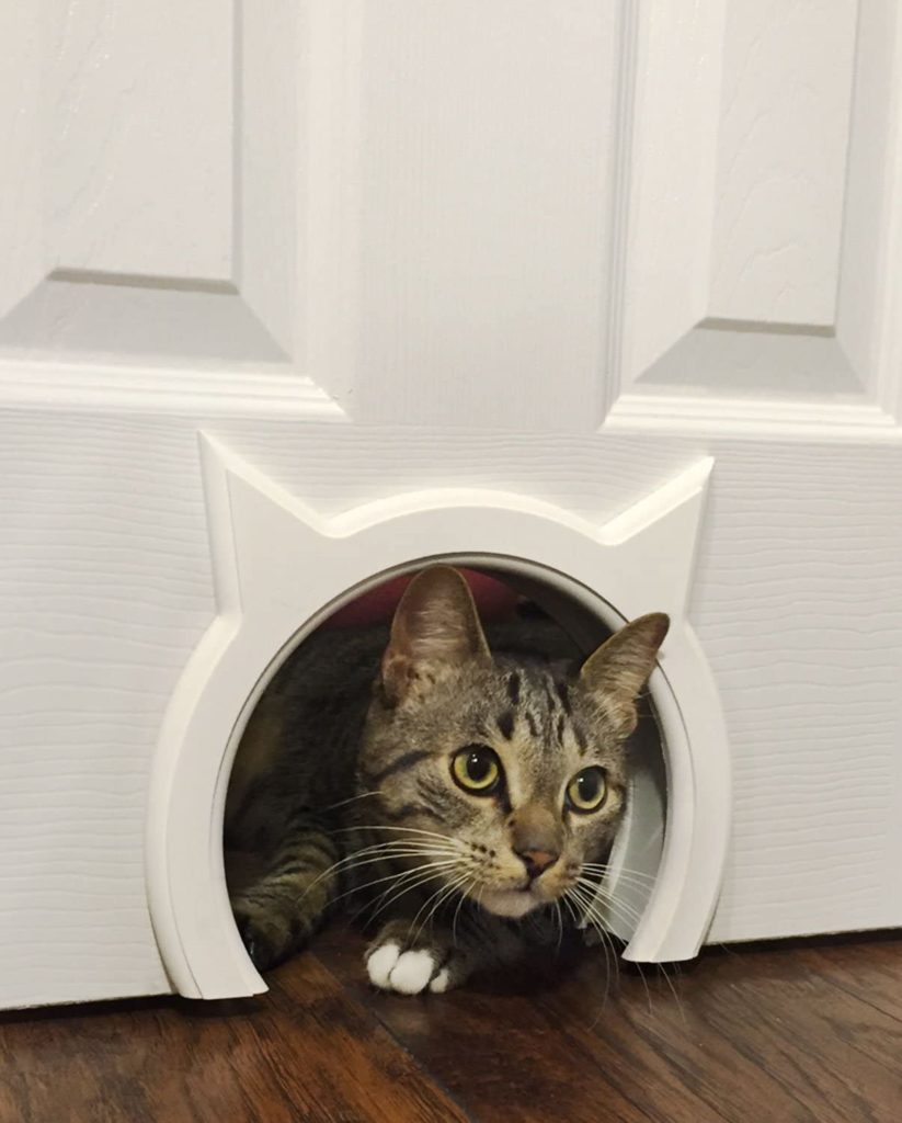 Kitty Pass's Interior Cat Door