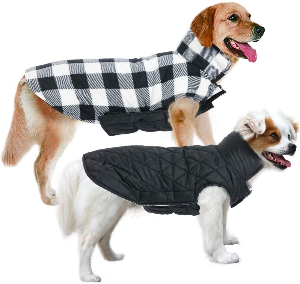 Migohi Dog Jacket