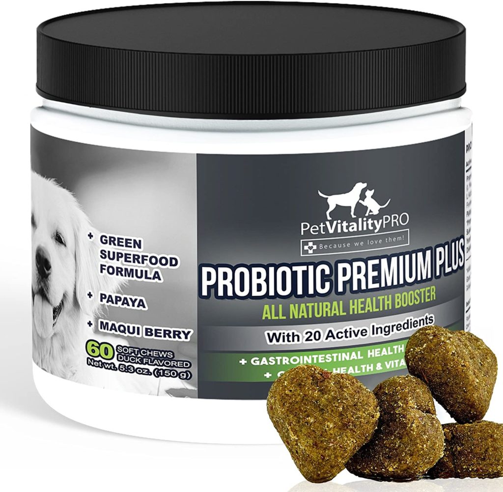 PetVitalityPro Probiotic Chew for Dogs