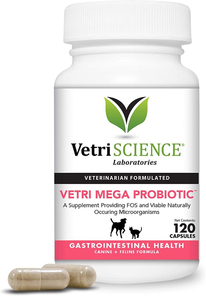 VetriScience Vetri Mega Probiotic for Dogs