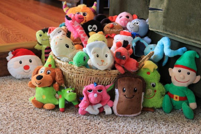 Dog toy storage helps you wrangle all your pup's toys in one place