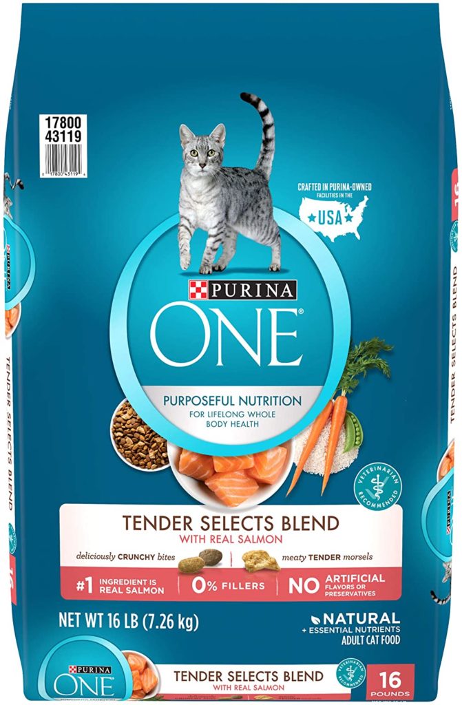 Purina ONE Dry Cat Food