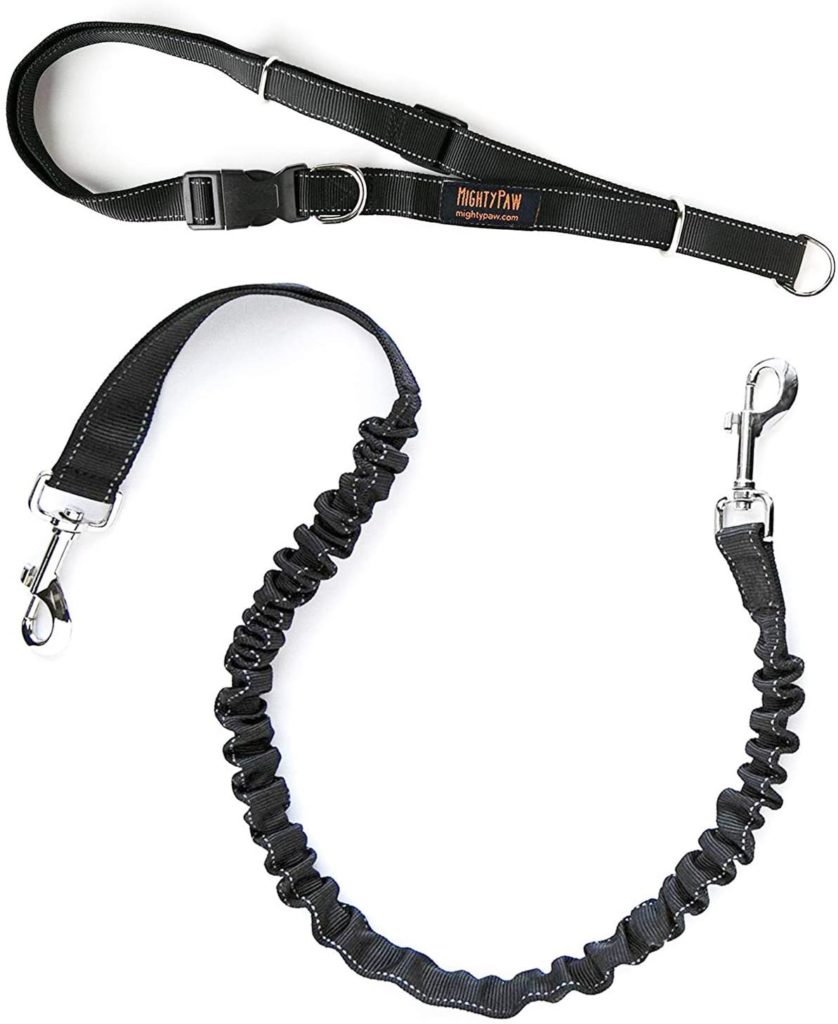 Mighty Paw Running Leash