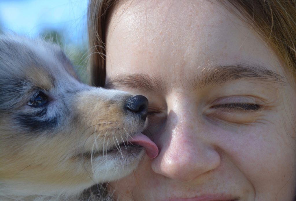 Dogs licking people isn't always comfortable for germaphobes