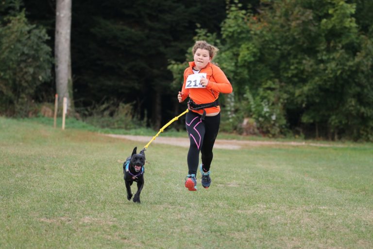 Running leashes allow you and your dog to exercise safely