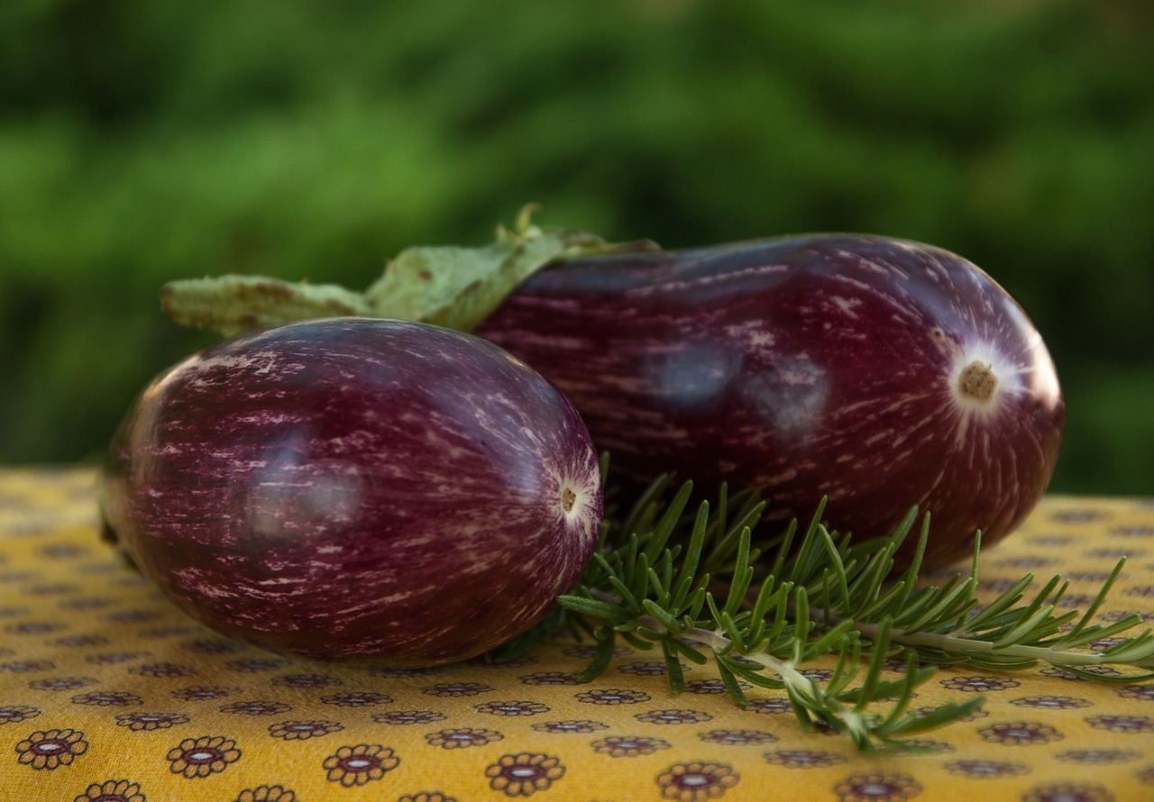 Can Dogs Eat Eggplant? Explaining All of This Plant's Precautions