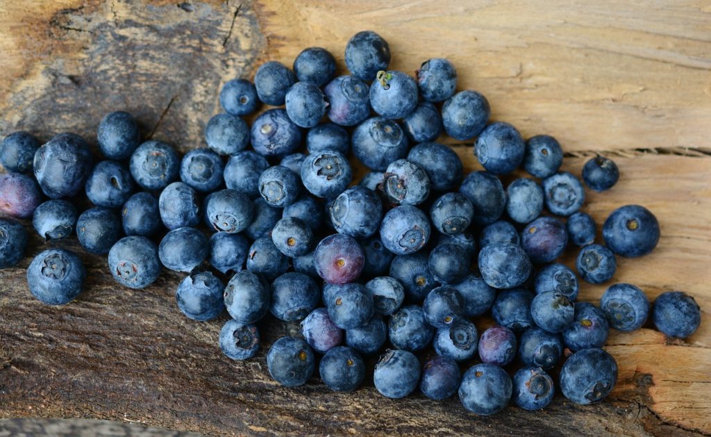 When dogs eat blueberries, they get multiple antioxidants