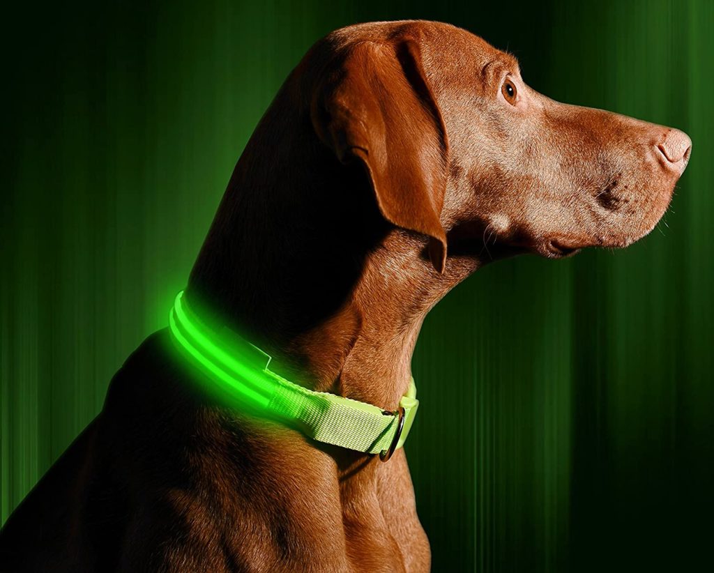 Illumiseen LED Dog Collar