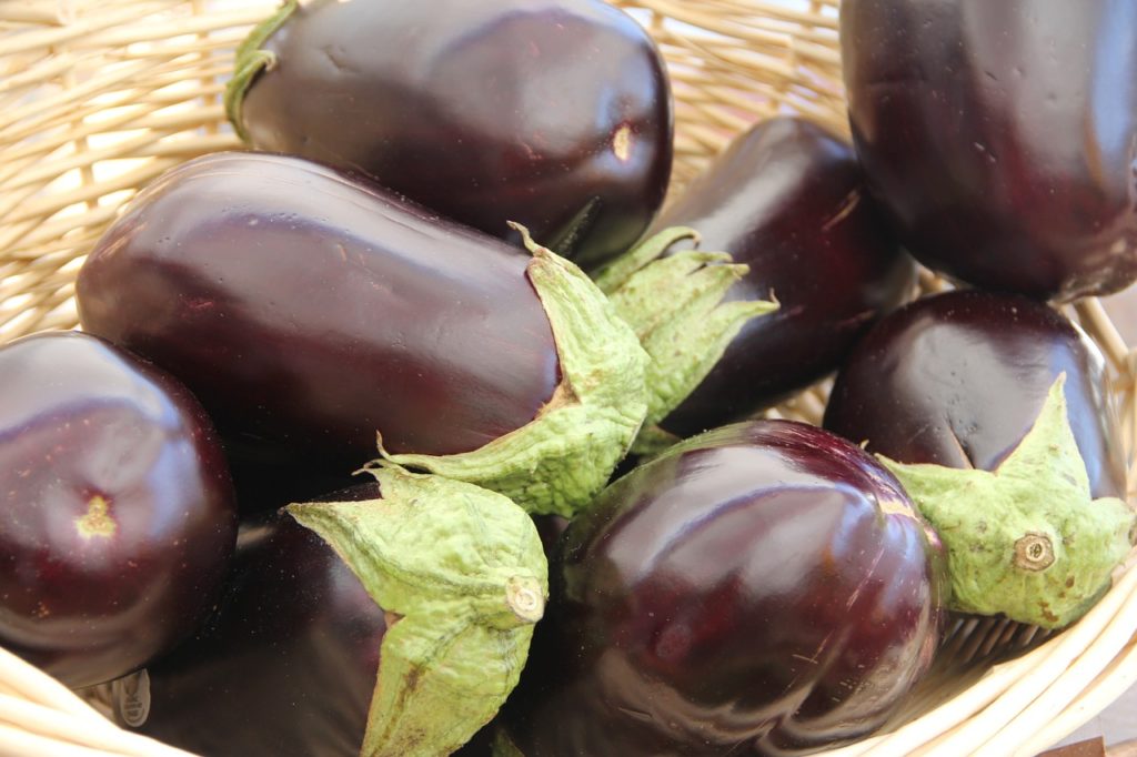 If dogs eat eggplant, they may develop an allergic reaction