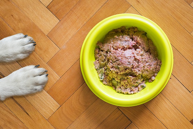 Canned dog food is often a canine favorite