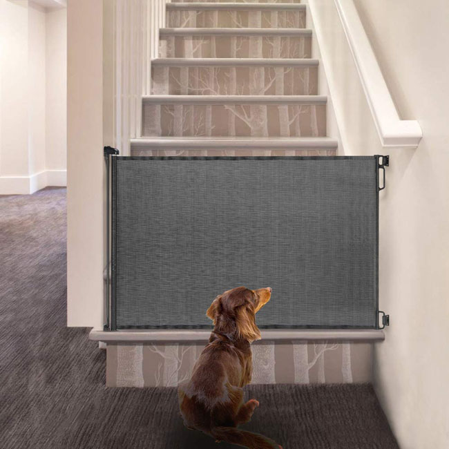 Retractable dog gates can keep your dog from dangerous areas