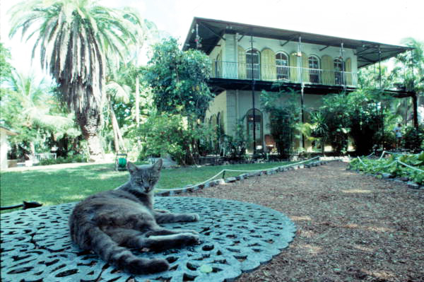 The Hemingway House acts as the residence for polydactyl cats descended from Hemingway's cat Snow White