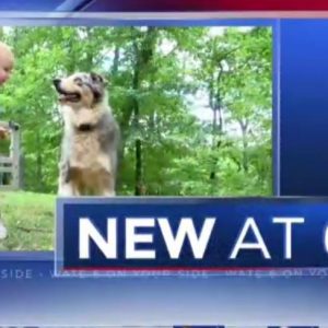 Shiloh risked her health to protect Bryson from a snake bite