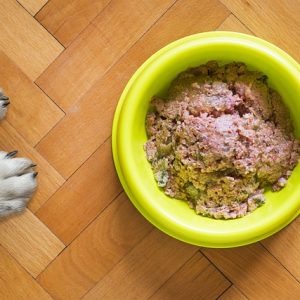 Canned dog food is often a canine favorite